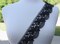 1 Yard Black Rose Motif Venice Lace Trim with Rough Scalloped Edges for Elegant Sewing Projects 2.75 Inch Wide